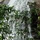 4 Acre Woods Farm Stay, Munnar - Photo 8