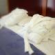 Hotel Capo Reamol, Limone sul Garda (foto 2)