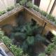 Navona Nest, Roma - Foto 4