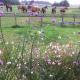The Coach House Barn - Valley Farm, Sudbourne (fotografie 8)
