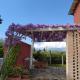 B&B Le Stagioni, Loreto Aprutino (fotografie 5)
