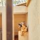 The Cottage Residence Karen, Nairobi - Fotografie 10