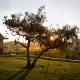 Casas de Vale de Lobo, Mirandela (fotografie 4)