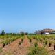 Doukas House Cottage with vineyard, Artemis, Artemida (foto 10)