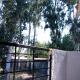 Eucalyptus Pension, Patara (foto 10)