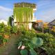 Skybird Homestay, Hội An - Photo 2