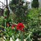 Skybird Homestay, Hội An - Photo 6