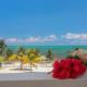 Treetops Hotel Caye Caulker - Fotografie 1