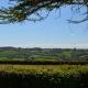 The Bothy - Ground floor conversion near Bath and Priston with outstanding views, Priston (Foto 10)