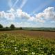 The Bothy - Ground floor conversion near Bath and Priston with outstanding views, Priston (Foto 3)