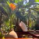 Casa da Beatriz, Trancoso - Fotografie 5