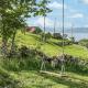4 Bedroom Gorgeous Home In Vanse, Vanse - 写真 7