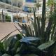 Ambassador Apartments, Petrovac na Moru (foto 9)
