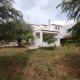 Rural Modern House