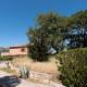 Eleonas Estate, Ardaktos (fotografie 7)