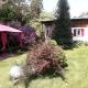 Ferienhaus am Langen See, Heidesee - Zdjęcie 2