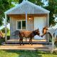 Tiny Cabin at the DonkeyRanch, Medicine Park - Photo 1