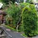 Ayu Bisma Homestay Ubud - Photo 10