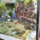 SALATA Hotel CENTRO, Jardinópolis - 写真 7