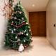 SPA LUXURY VILLA *****, Platja d'Aro (fotografie 9)