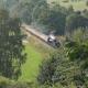 Hillside Cottage, countryside views near Llangollen, Corwen - Fotografie 10