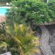 Casa Carolina, Los Llanos de Aridane (Foto 7)