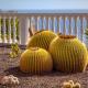 Stunning Villa with Breathtaking Ocean View, Puerto Rico de Gran Canaria (zdjęcie 6)