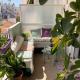 Nina's house in the center of Volos, Volos (Foto 7)