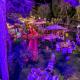 Phoenicia Blue View, Olimp - Fotografie 3