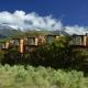 Hapuku Lodge & Tree Houses
