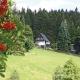Holiday Home Am Einsberg Q, Tellerhäuser - 写真 5