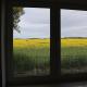Kleines Haus am Feld, Rehna - Foto 5