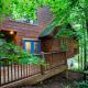 Whitetail Cabin cabin Gatlinburg - Foto 3