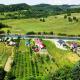 LA LIVADA, Valea Danului - Foto 3