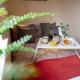 Chichele House, sleeps 8, Nr Rushden Lakes, allocated parking, corporate welcome, Higham Ferrers (photo 2)