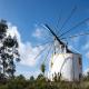 Delightful forest windmill, 10 min away from the beach Nazaré - Fotografie 8