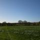 The Annexe Headcorn, Headcorn