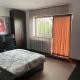 Vila cu trandafiri - Cozy Apartments Studio cu pat matrimonial, Bragadiru - 写真 1