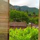 Guest house DAVID, Borjomi (photo 2)