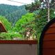 Guest house DAVID, Borjomi (photo 5)