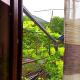 Guest house DAVID, Borjomi (photo 10)