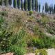 LOFT RURAL MOLINILLO, Comares (fotografie 8)