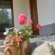 Apartament na brzyzku, Zakopane - Photo 3