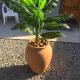 Ruros Guest House, Kempton Park (fotografie 9)