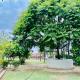 Spring Gardens and Farmstay, Amritsar - Foto 9