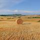 Casale La Torretta, Pontepetri (foto 6)