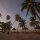 Antonio Beach Tree House Hotel & Spa, Uroa (fotografie 4)