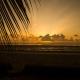 Antonio Beach Tree House Hotel & Spa, Uroa (fotografie 2)