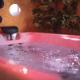 Wellness Studio D'Or - Exclusive NEW apartment With whirlpool, sauna, sunny terrace, private parking, Poreč (Foto 2)