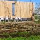 Tiny house het Polderhuisje, Streefkerk (fotografie 4)